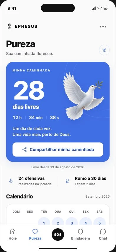 Prévia da área Pureza com exemplo de 28 dias livres